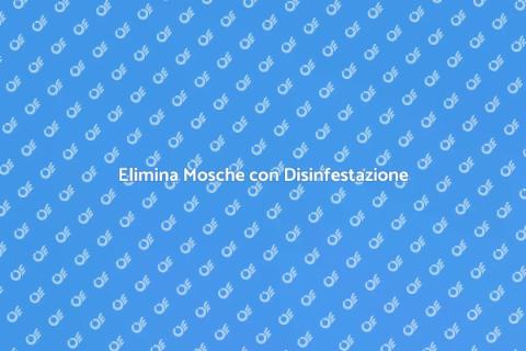 Disinfestazione Mosche: Soluzione Efficace