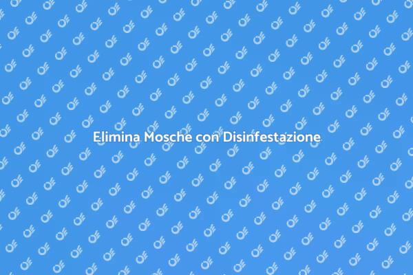 Disinfestazione: Libera i Tuoi Ambienti