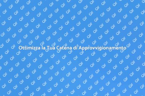Catena di Approvvigionamento Efficiente