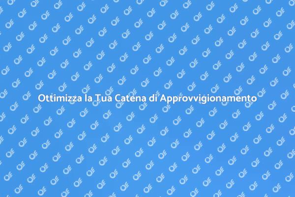 L'Efficienza della Catena di Approvvigionamento