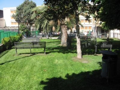 Creoverde  - Foto 4