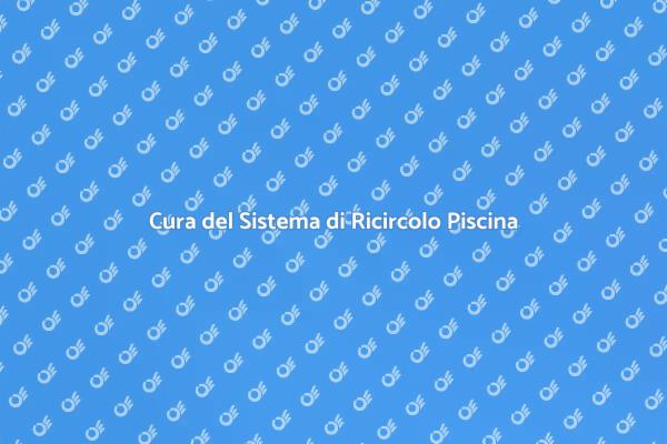 Manutenzione Efficace della Piscina