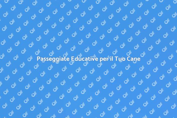 Camminare con il Cane: Servizio Completo
