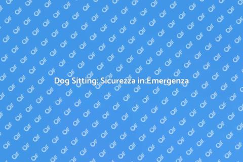 Dog Sitting in Emergenza Sicura