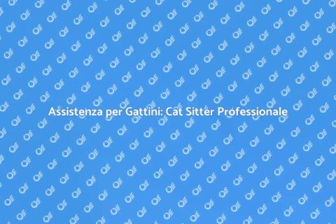 Cat Sitter per Gattini: Affetto e Cura
