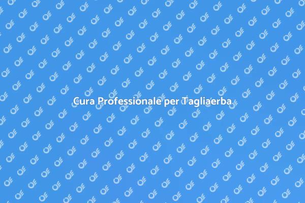 Manutenzione Efficace per il Tuo Giardino