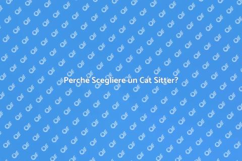 Cat Sitter per Gatti Territoriali