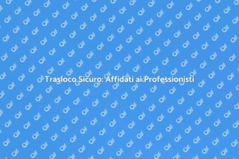 Trasportare Mobili con Professionisti