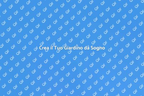 Un Bel Prato a Casa: Trasformalo Ora