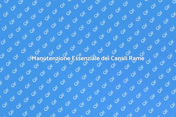 Manutenzione Canali di Gronda Essenziale