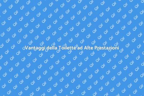 Installazione Toilette Alta Prestazione