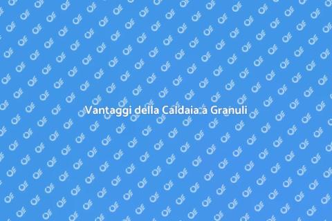 Caldaia a Granuli: Riscaldamento Eco