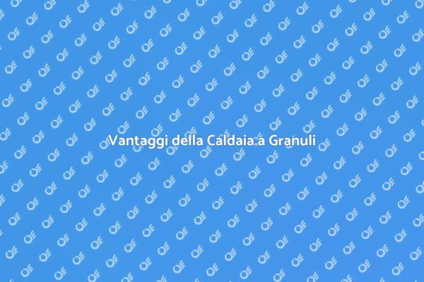 Caldaia a Granuli: Scelta Eco-Friendly