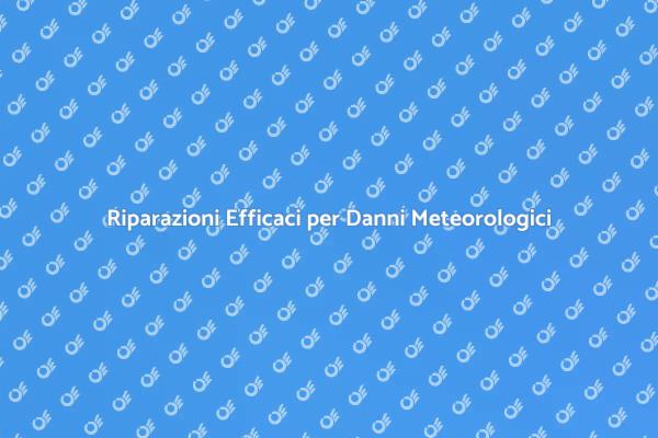 Riparazioni per Danni da Grandine e Vento