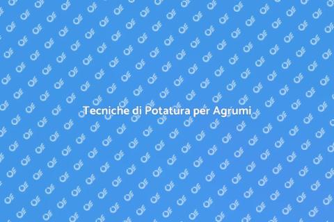 Potatura Agrumi: Tecniche Essenziali