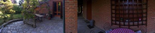 Dogs Accademy - Foto 8