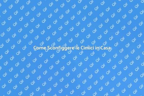 Trattamento Efficace Contro le Cimici