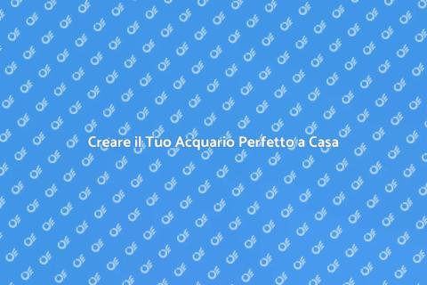 Consulenza Acquario a Casa: Scopri di Più