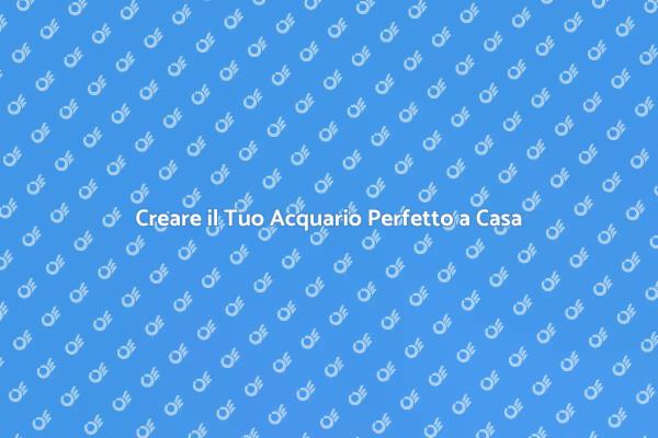 Esperti di Acquari a Casa Tua
