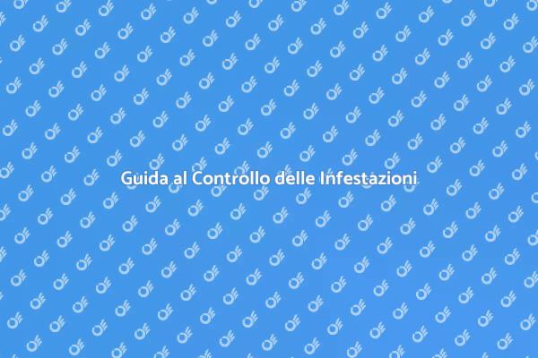 Come Affrontare le Infestazioni Domestiche