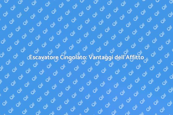 Potenza e Precisione con Escavatore Cingolato