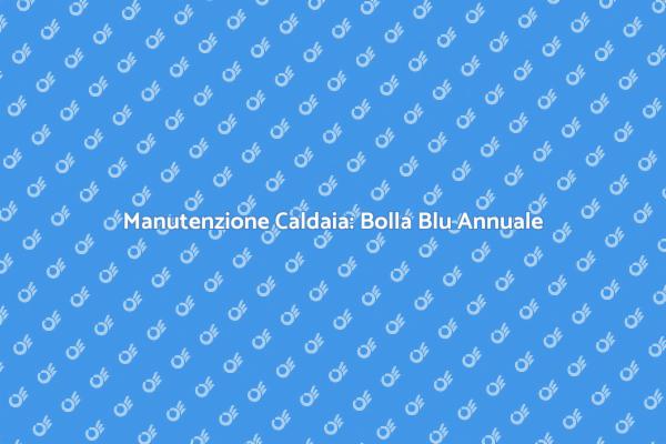 Importanza della Bolla Blu per Caldaie