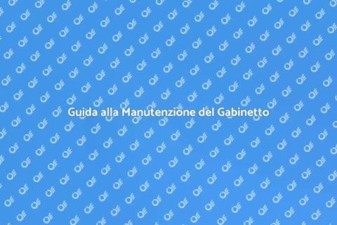 Manutenzione Meccanismo Scarico Gabinetto