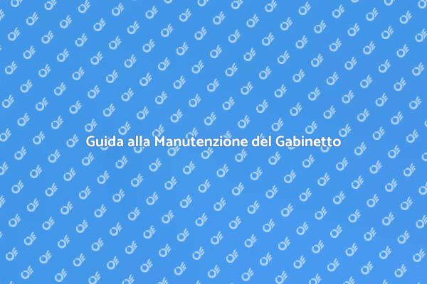 Come Mantenere il Meccanismo di Scarico