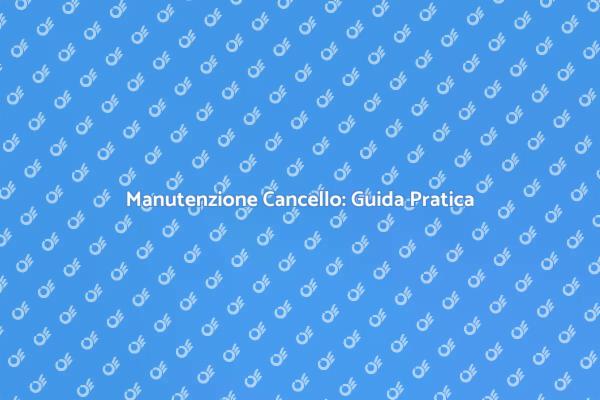 Manutenzione Cancello: Segreti e Vantaggi