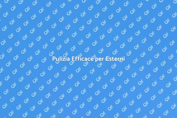 Trasforma i Tuoi Esterni con Lavaggio