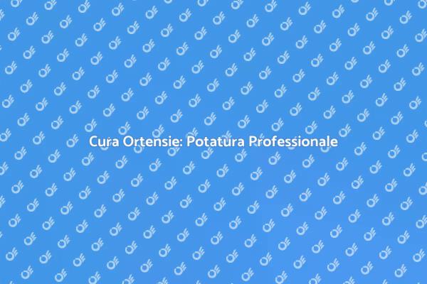 Servizio di Potatura Ortensie Efficace