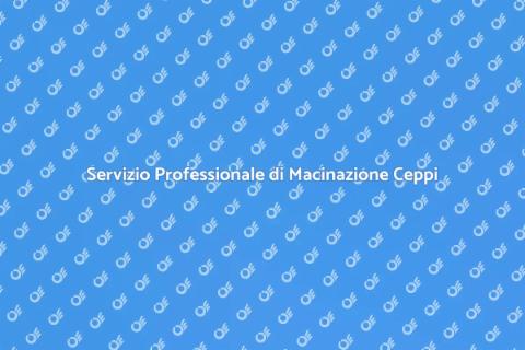 Macinazione Ceppi: Servizio Giardinaggio