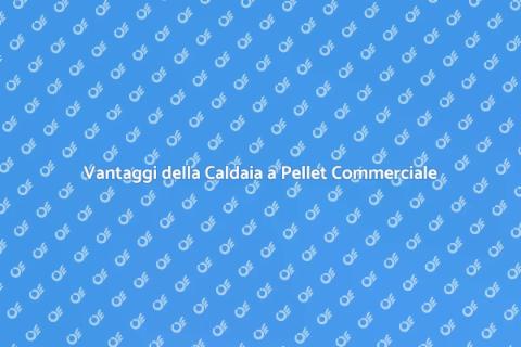 Caldaia a Pellet per Uso Commerciale
