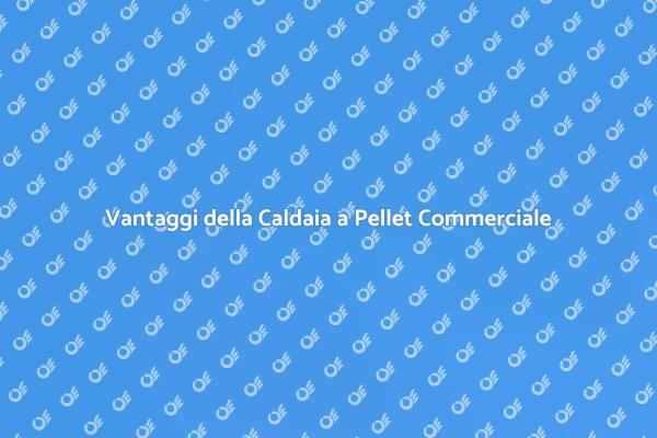 Caldaie a Pellet: Riscaldamento Sostenibile