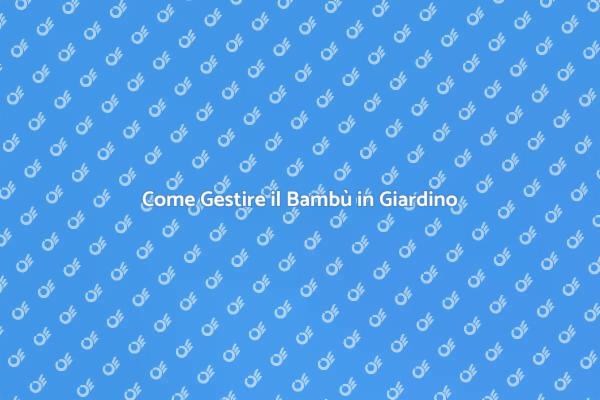 Rimozione Bambù: Soluzioni Professionali