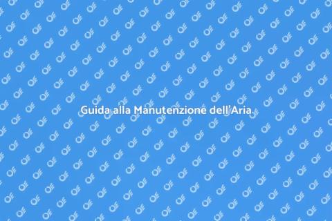 Riparazione Aria Condizionata Essenziale