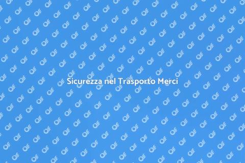 Controllo Carichi per Autisti