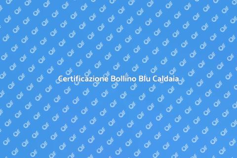 Bollino Blu Caldaia: Sicurezza Garantita