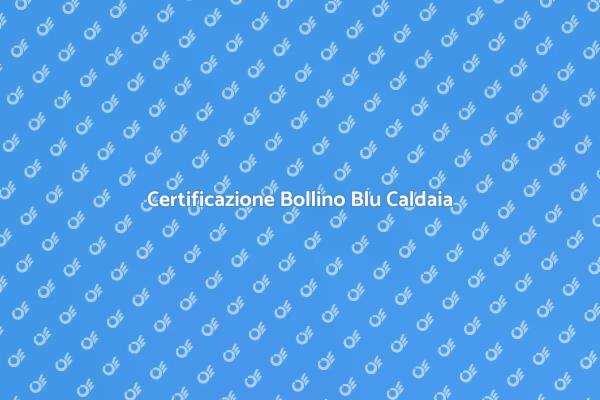 Bollino Blu: Sicurezza per la Tua Caldaia