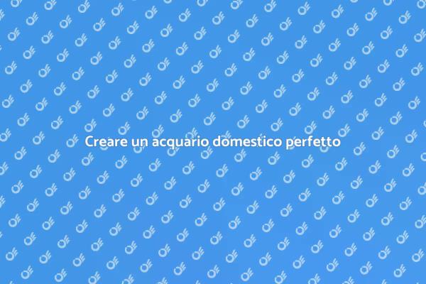 Acquario domestico: la tua guida completa