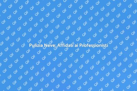 Assistenza Professionale per Pulizia Neve