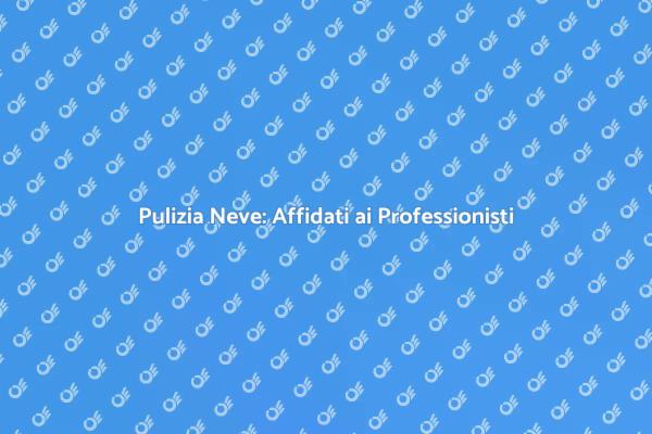 Gestisci la Neve con Esperti Professionisti