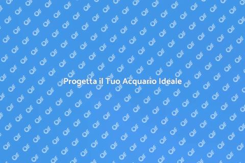 Acquario Su Misura: Progetto Unico