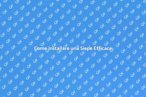 Installare una Siepe per il Tuo Giardino
