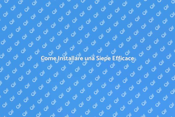 Abbellisci il Tuo Giardino con una Siepe