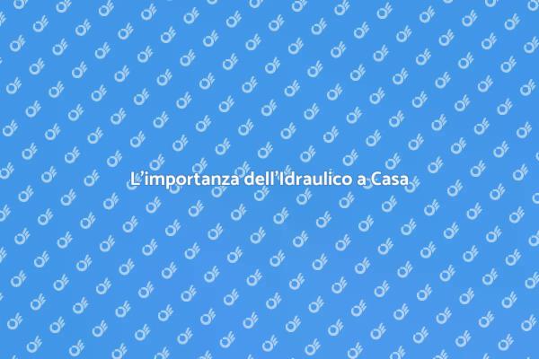 Perché Scegliere un Idraulico Professionista