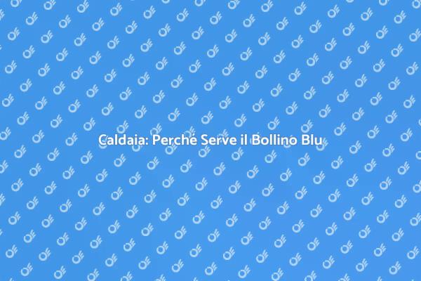 Bollino Blu: Sicurezza per la Caldaia