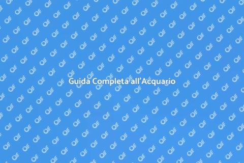 Consulenza Completa per Acquari