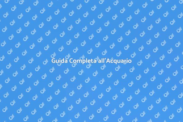 Realizza il Tuo Acquario da Sogno