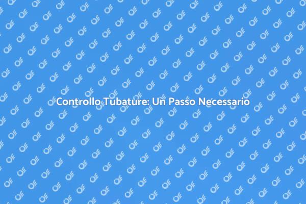 Ispezione Tubature: Prevenire Danni